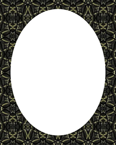 Circle Frame Background with Decorated Borders — Stock Photo, Image