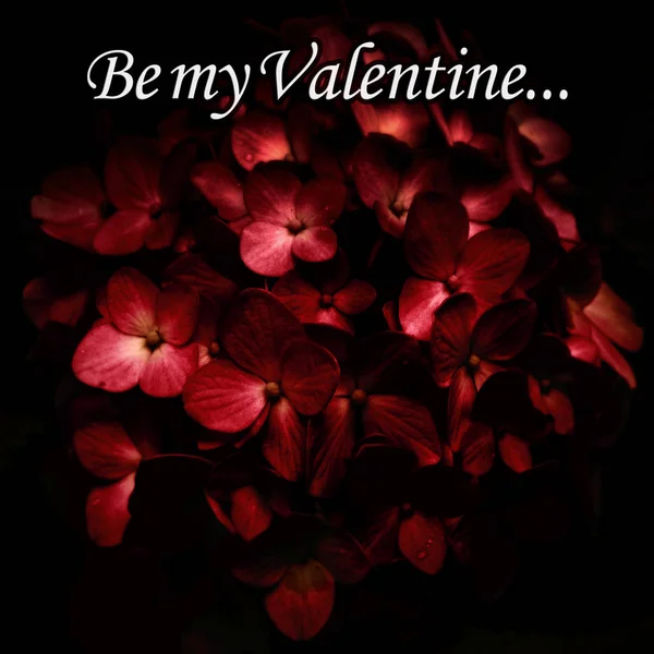 Elegante poster San Valentino scuro — Foto Stock