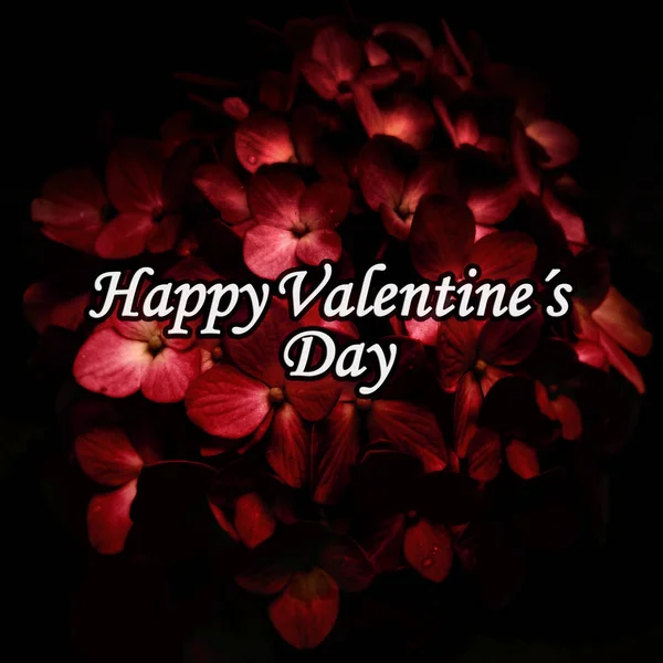 Dunkel elegantes Valentinstag-Plakat — Stockfoto