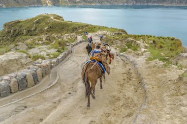 People Riding Mules at Road in Quilotoa Lake, Ecuador clipart