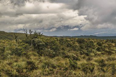 Cotopaxi Milli Parkı peyzaj sahne