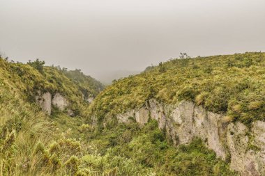 Cotopaxi Milli Parkı peyzaj sahne