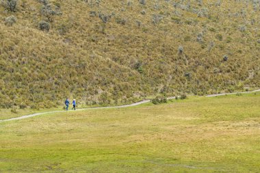 Cotopaxi Milli Parkı Ekvador