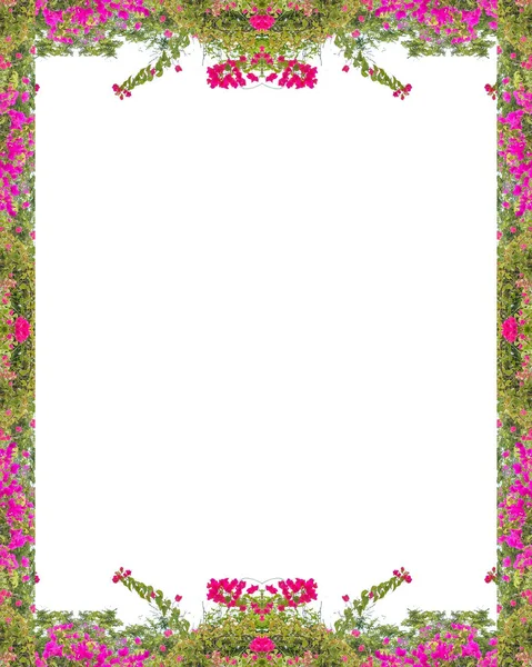 Floral briefpapier witte achtergrond — Stockfoto