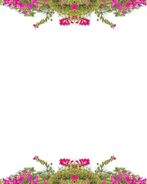 Floral Stationery White Background — Stock Photo, Image