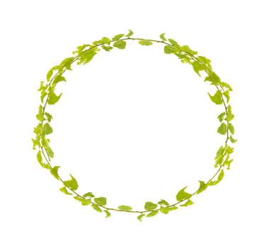 İzole yaprakları daire süsleme