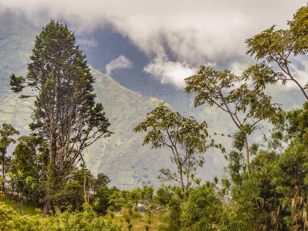 Escena de paisaje en las alturas Banos Ecuador — Foto de Stock