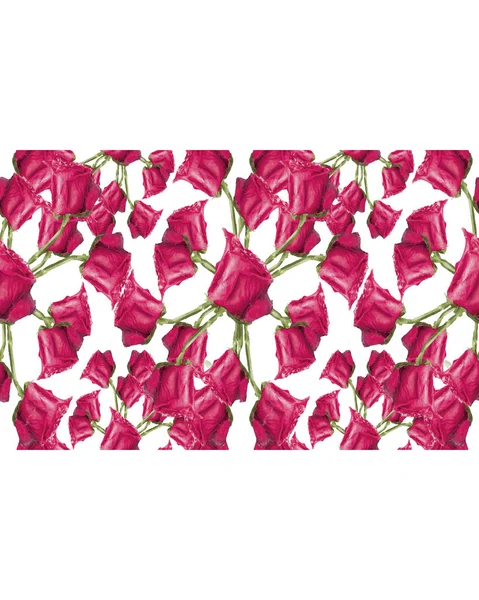 Papeterie Hintergrund mit verzierten floralen Grenzen — Stockfoto