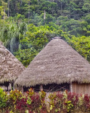 Amazonia Ekvador yerli ev