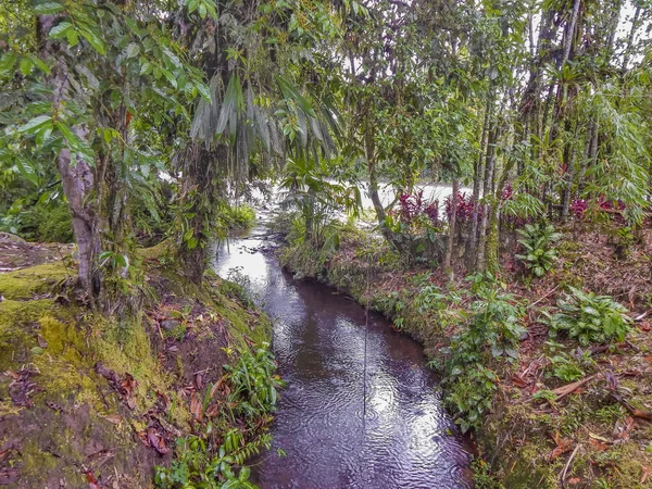 Fluss am Amazonas bei Puyo, Ecuador — Stockfoto
