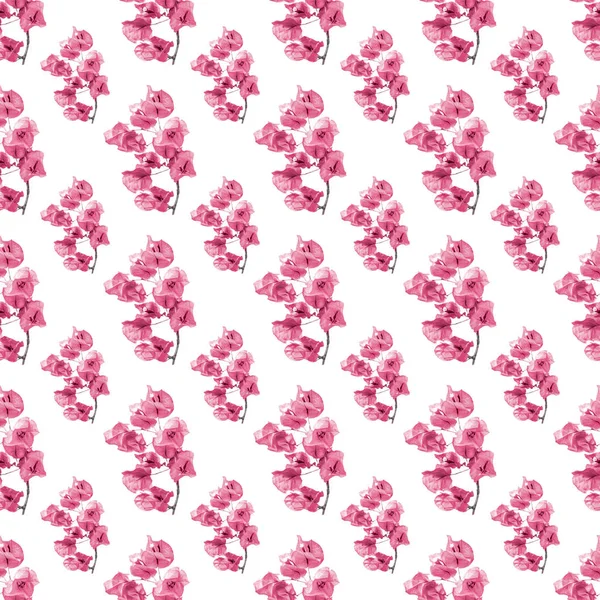 Santa Rita Pattern Fiori — Foto Stock