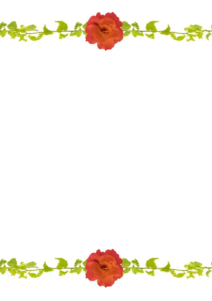 Tło papeterii z dekoracyjną kwiatowy granic — Zdjęcie stockowe