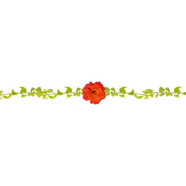 Tło papeterii z dekoracyjną kwiatowy granic — Zdjęcie stockowe