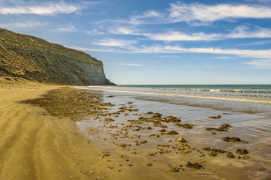Rada Tilly Beach Chubut Arjantin