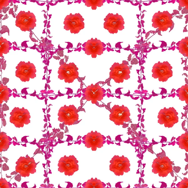 Színes virágos kollázs Seamless Pattern — Stock Fotó