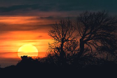 Doğa manzara sahne gün batımında
