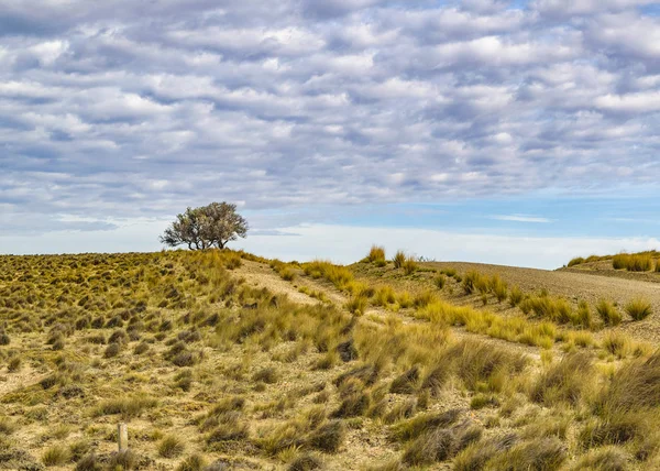 Krajobraz patagońskiej sceny — Zdjęcie stockowe