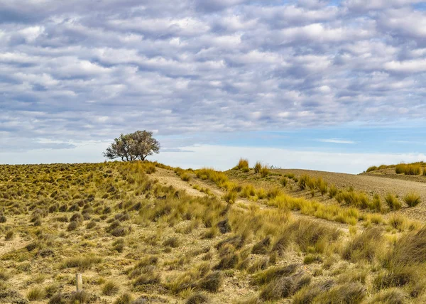 Paysage scène patagonique — Photo