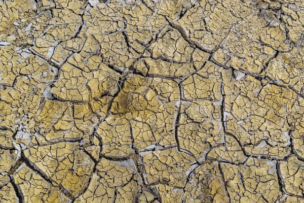 泥のひび割れパターン — ストック写真