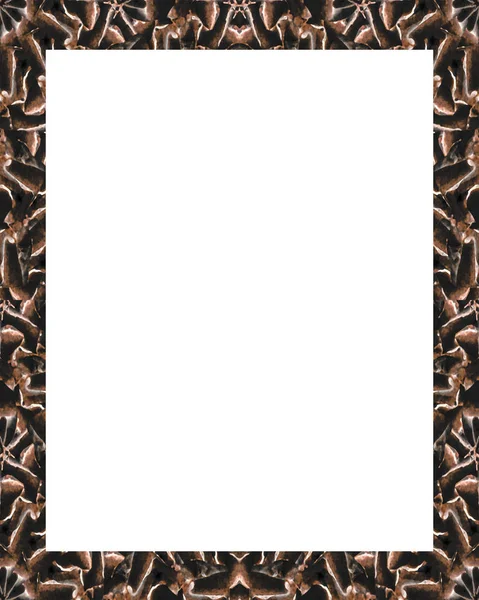 White Frame with Decorated Borders — Stock Photo, Image