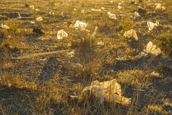 Lixo na Paisagem Patagônia Santa Cruz Argentina — Fotografia de Stock