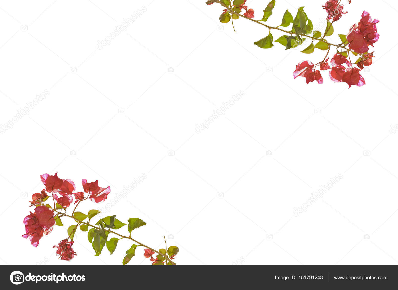Marco blanco con bordes decorados florales — Foto de stock ...