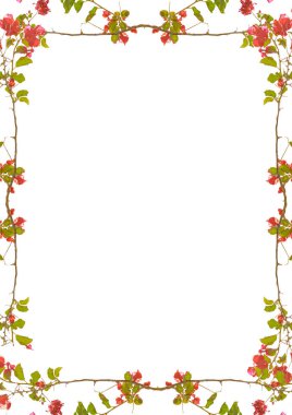 Bir şekilde dekore edilmiş çiçek kenarlıklı beyaz çerçeve