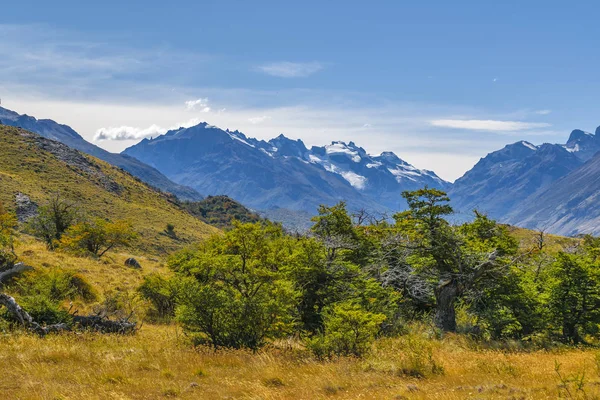 Καταπράσινη φύση El Chalten Αργεντινή — Φωτογραφία Αρχείου