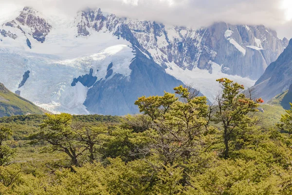Snowy Andes Mountains, El Chalten Argentina — Zdjęcie stockowe