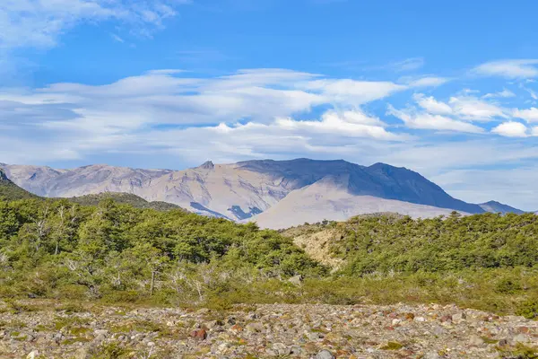 Paysage forestier de Patagonie, El Chalent, Argentine — Photo