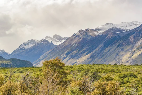 Ліс і снігові гори, Патагонії, Аргентина — стокове фото