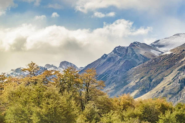 Ліс і снігові гори, Патагонії, Аргентина — стокове фото