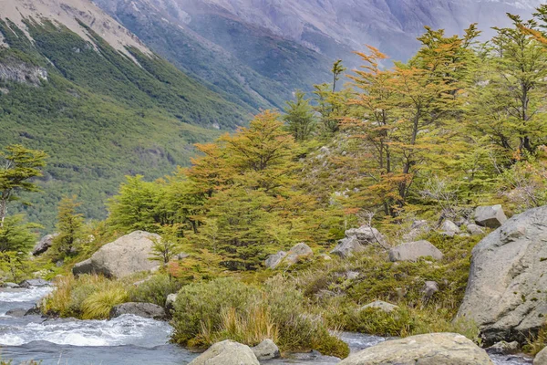 Rzeka Las i góry sceny Andy, Patagonia, Argentyna — Zdjęcie stockowe