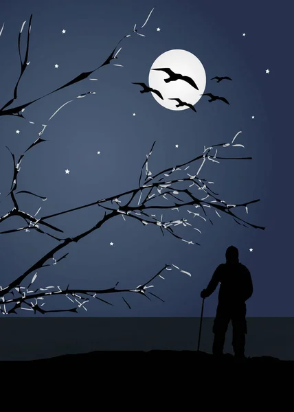 L'uomo in cima alla montagna a contemplare il paesaggio lunare — Foto Stock