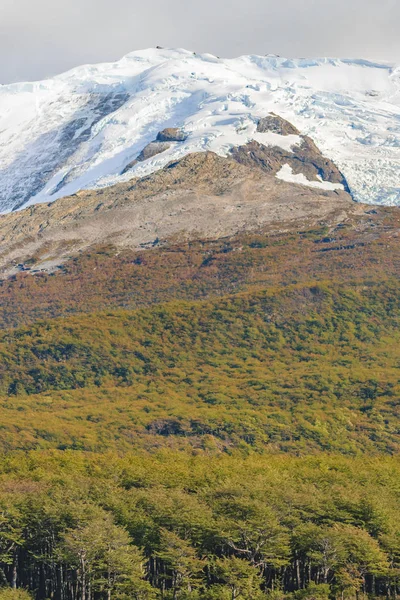 Erdő és a havas Andokban, Patagónia - Argentína — Stock Fotó