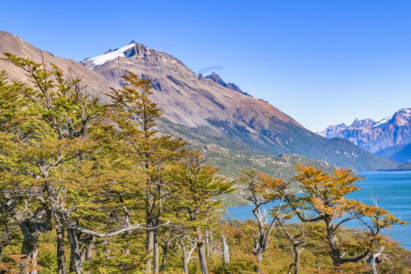 Jezioro i góry, Patagonia - Argentyna — Zdjęcie stockowe