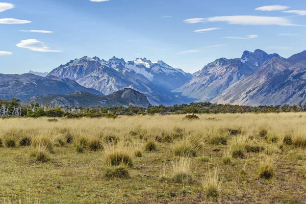 Λιβάδι και Mountinas.Patagonia, Αργεντινή — Φωτογραφία Αρχείου