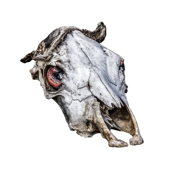不気味な牛 Headbones のアートワーク — ストック写真