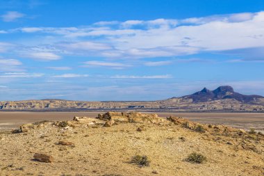 Taşlaşmış orman Milli Parkı, Santa Cruz, Argentina