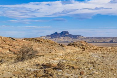 Taşlaşmış orman Milli Parkı, Santa Cruz, Argentina
