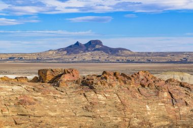 Taşlaşmış orman Milli Parkı, Santa Cruz, Argentina