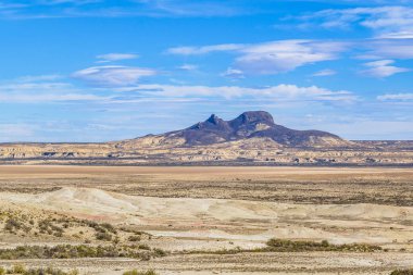 Taşlaşmış orman Milli Parkı, Santa Cruz, Argentina