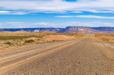 Taşlaşmış orman Milli Parkı, Santa Cruz, Argentina