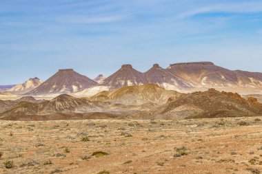 Taşlaşmış orman Milli Parkı, Santa Cruz, Argentina