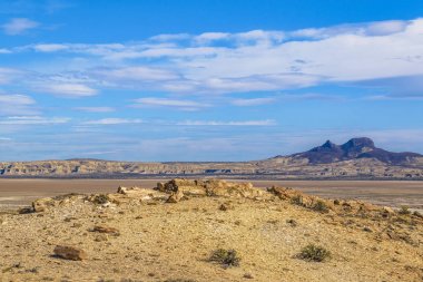 Taşlaşmış orman Milli Parkı, Santa Cruz, Argentina