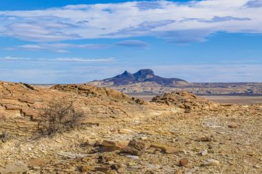 Taşlaşmış orman Milli Parkı, Santa Cruz, Argentina