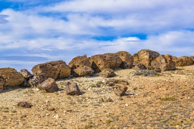 Taşlaşmış orman Milli Parkı, Santa Cruz, Argentina