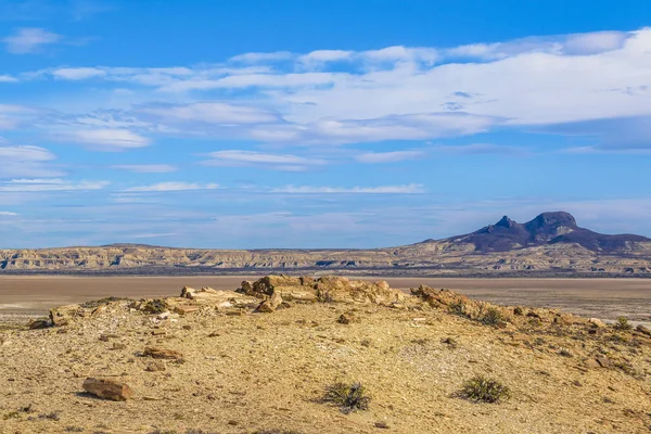 Taşlaşmış orman Milli Parkı, Santa Cruz, Argentina