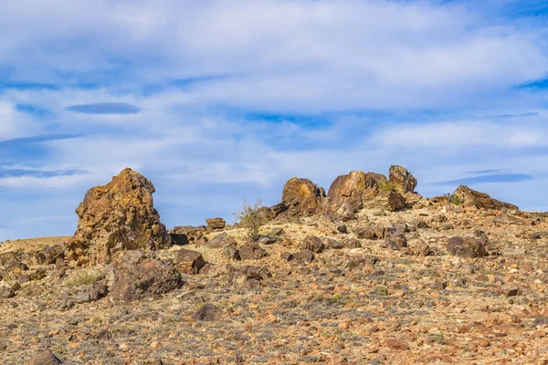 Národní Park Petrified Forest, Santa Cruz, Argentina — Stock fotografie