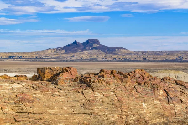 Taşlaşmış orman Milli Parkı, Santa Cruz, Argentina